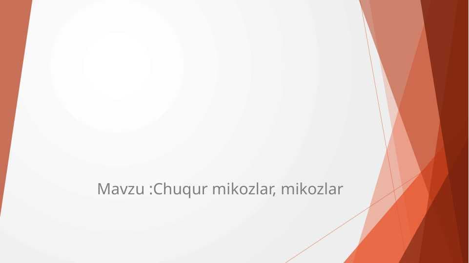 Chuqur mikozlar, mikozlar