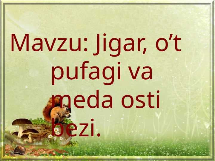 Jigar, o’t pufagi va  meda osti bezi