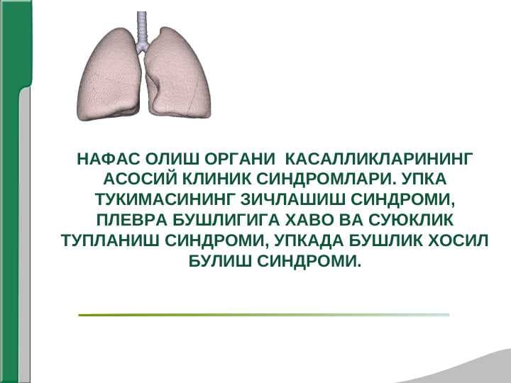 NAFAS OLISH ORGANI KASALLIKLARINING ASOSIY KLINIK SINDROMLARI. O`PKA TO`QIMASINING ZICHLASHISH SINDROMI. PLEVRA BO`SHLIG`IGA HAVO VA SUYUQLIK TO`PLANISH SINDROMI, O`PKADA BO`SHLIQ HOSIL BO`LISH SINDROMI.