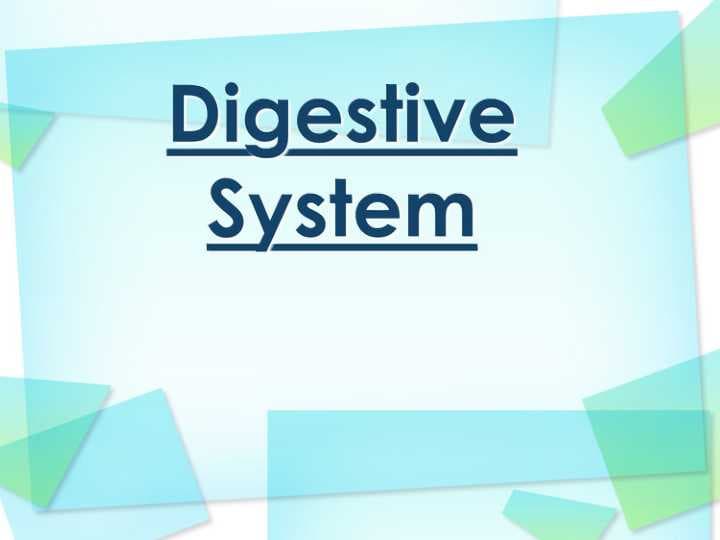 Digestive System