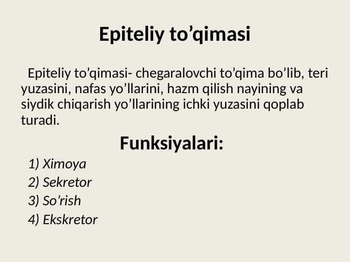 epiteliy to'qimasi