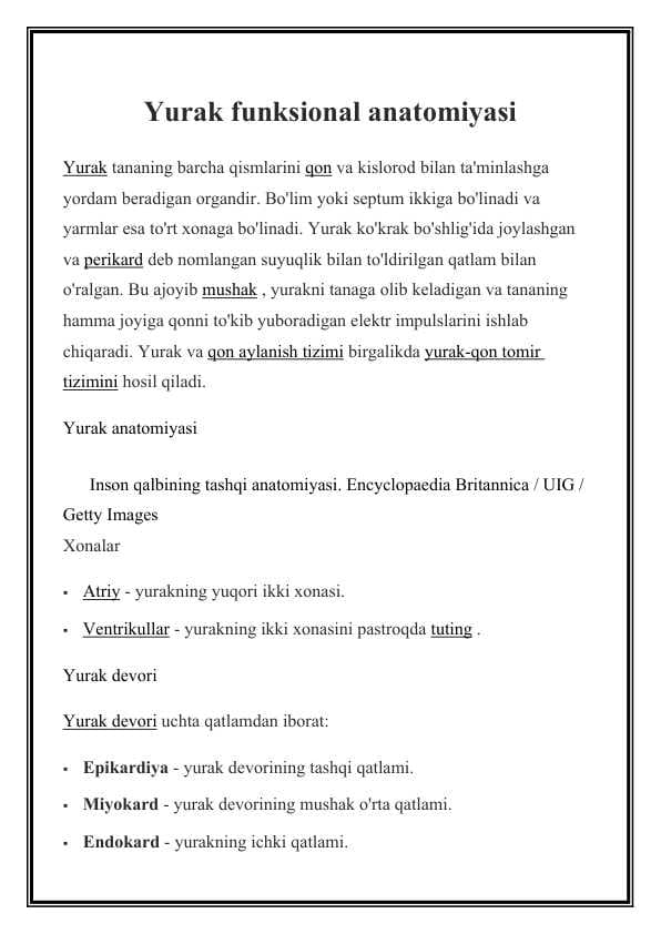 Yurak funksional anatomiyasi