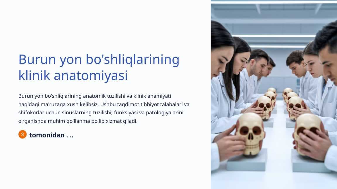 Burun yon bo'shliqlarining klinik anatomiyasi