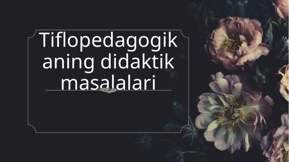 Tiflopedagogikaning didaktik masalalari