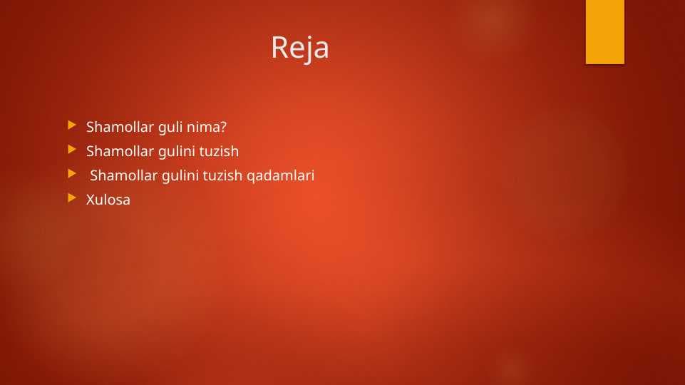Shamollar guli