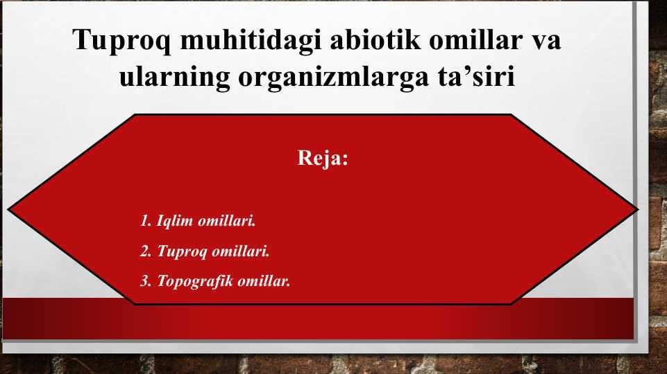 Tuproq muhitidagi abiotik omillar va ularning organizmlarga ta’siri