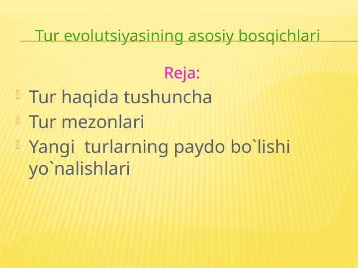 Tur evolutsiyasining asosiy bosqichlari