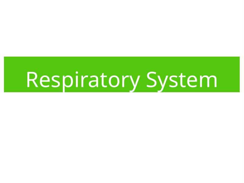 Respiratory System
