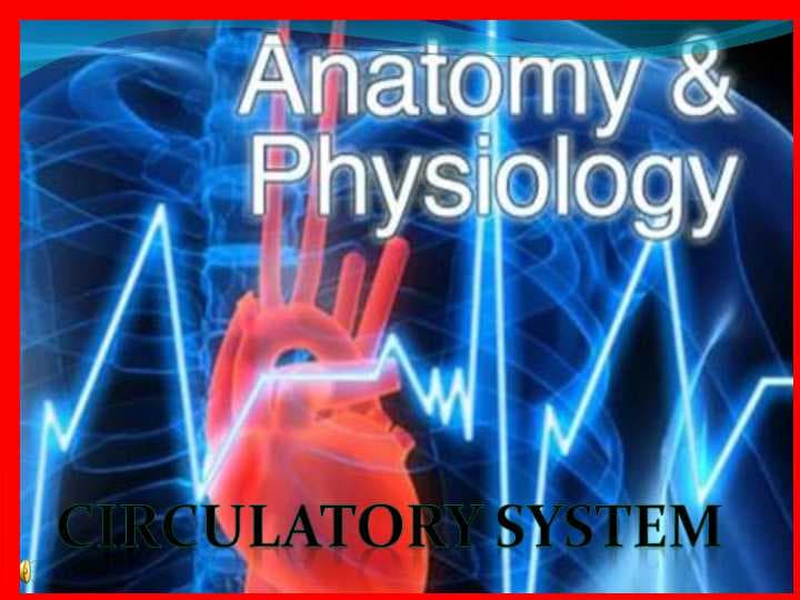 Circulatory system Qon aylanish tizimi