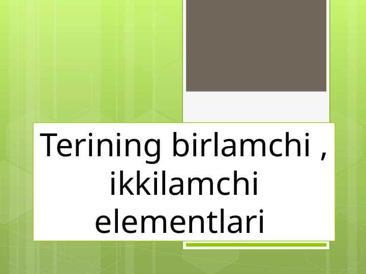 Terining birlamchi , ikkilamchi elementlari