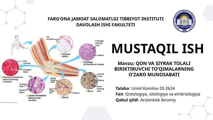 Qon va siyrak tolali biriktiruvchi to'qimalarning o'zaro aloqadorligi | Yallig'lanish jarayoni | Gistologiya