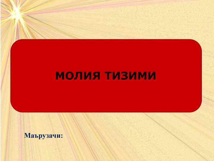 МОЛИЯ ТИЗИМИ