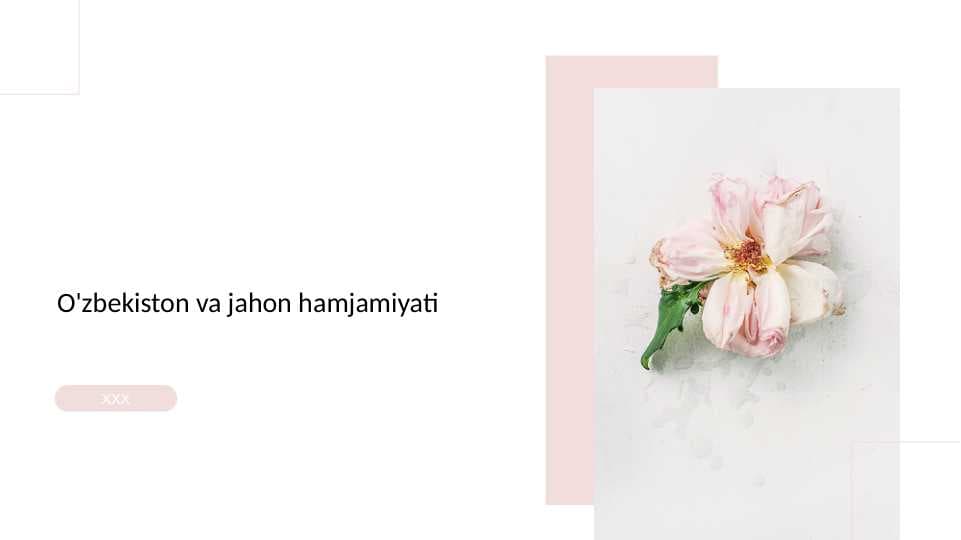 O'zbekiston va jahon hamjamiyati