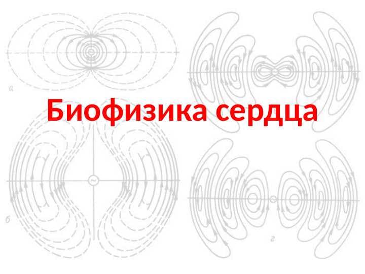 Биофизика сердца