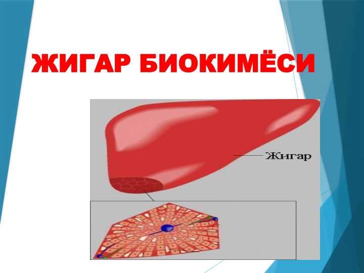 ЖИГАР БИОКИМЁСИ