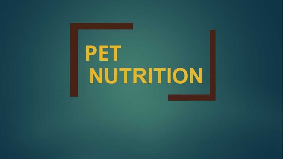 pet nutration