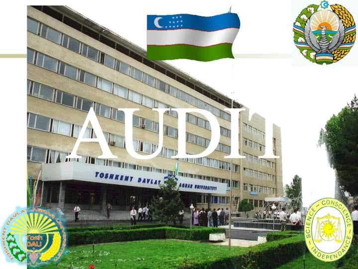 AUDIT
