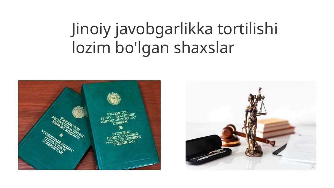 Jinoiy javobgarlikka tortilishi lozim bo'lgan shaxslar