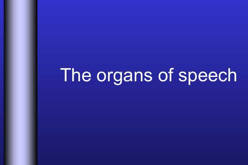 The organs of speech