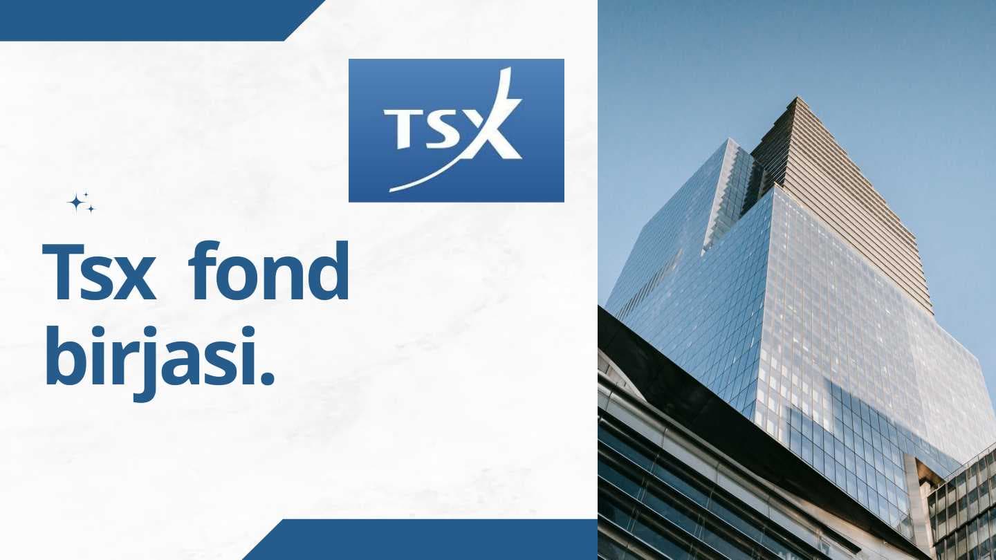 Tsx  fond  birjasi.