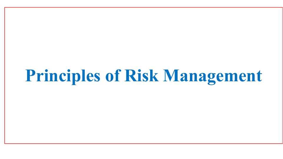 Principles of Risk Management