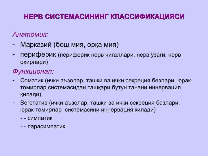 НЕРВ СИСТЕМАСИНИНГ КЛАССИФИКАЦИЯСИ
