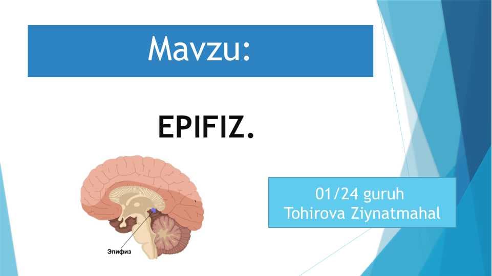 EPIFIZ.
