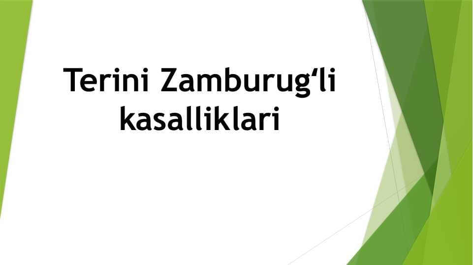 Terini Zamburugʻli kasalliklari