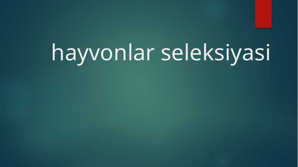 hayvonlar seleksiyasi