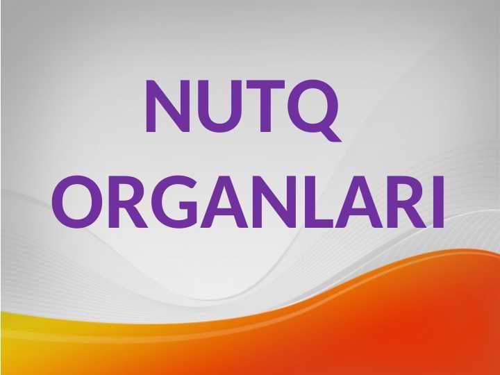 NUTQ  ORGANLARI
