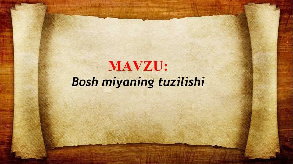 Bosh miyaning tuzilishi (TAQDIMOT)