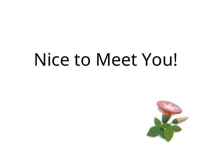 Nice to Meet You!