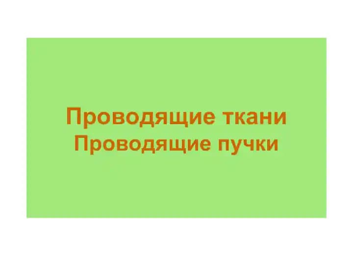 Проводящие ткани