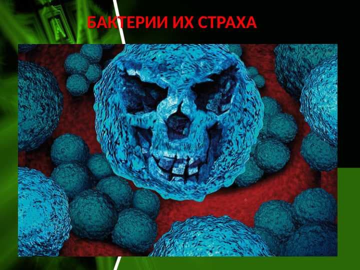 бактерии их страха