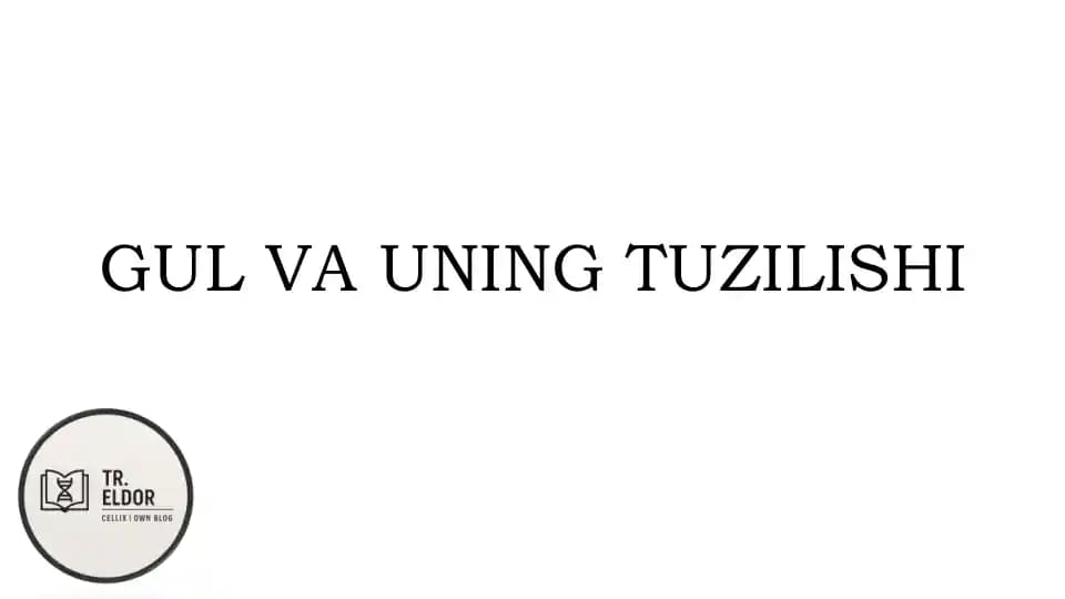 Gul va uning tuzilishi