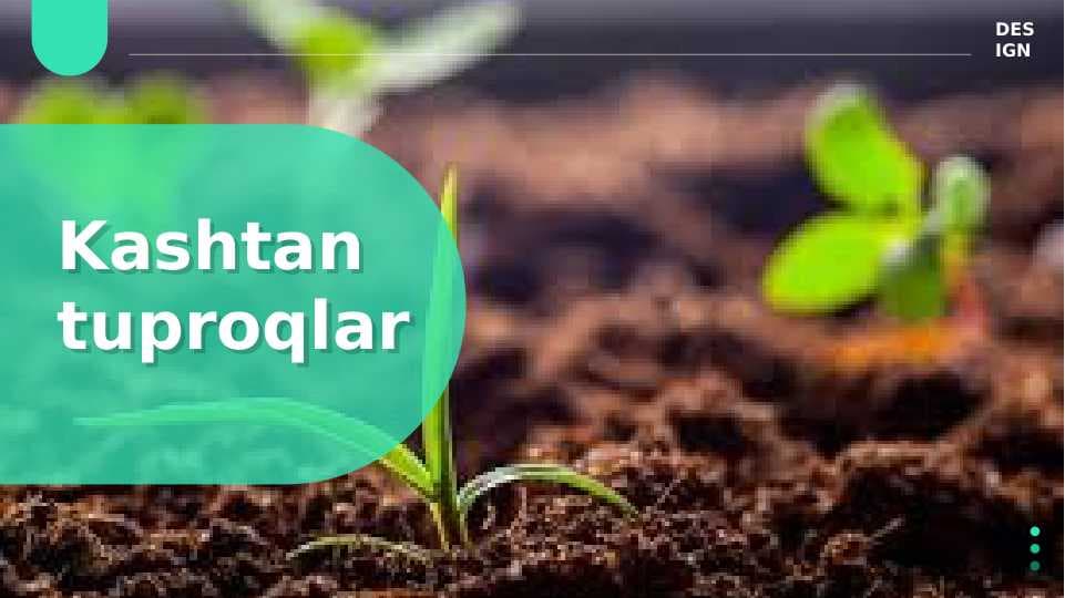 Kashtan tuproqlar
