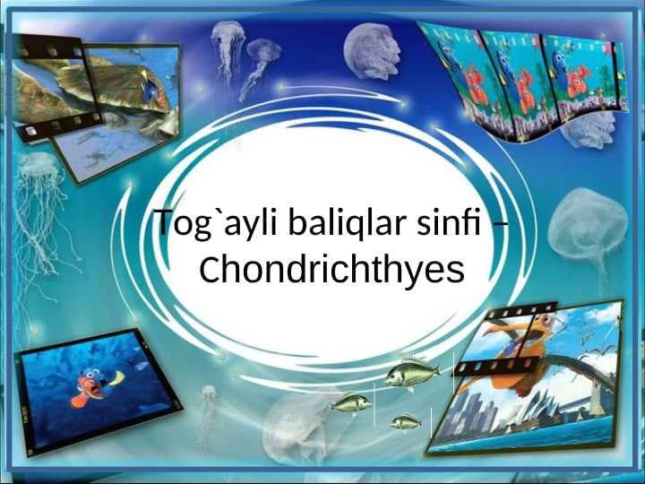 Tog`ayli baliqlar sinfi