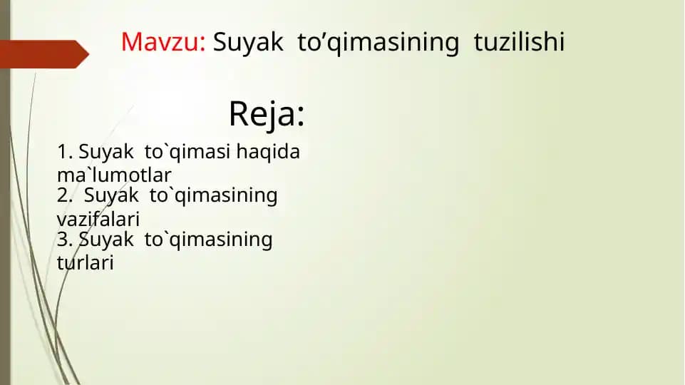 Suyak  to’qimasining  tuzilishi