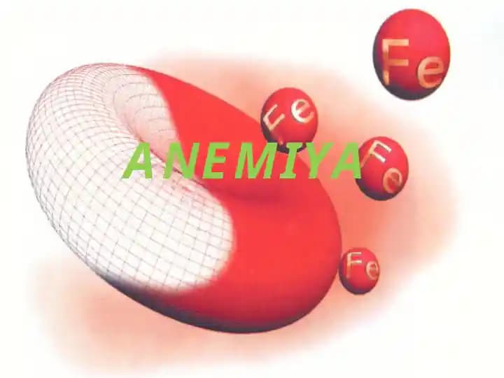 ANEMIYA
