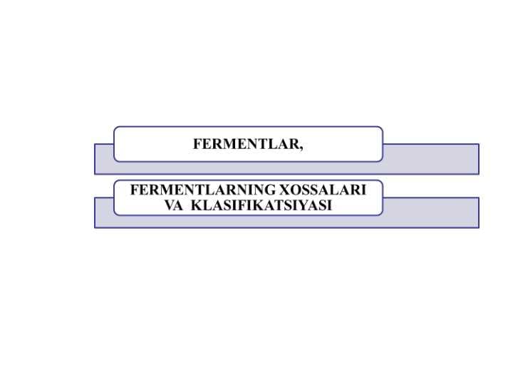 Fermentlar