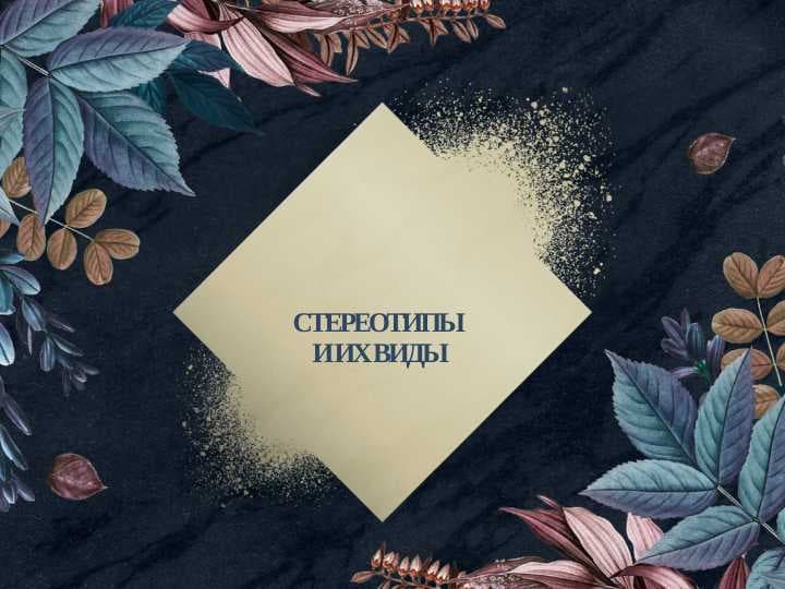 СТЕРЕОТИПЫ И ИХ ВИДЫ