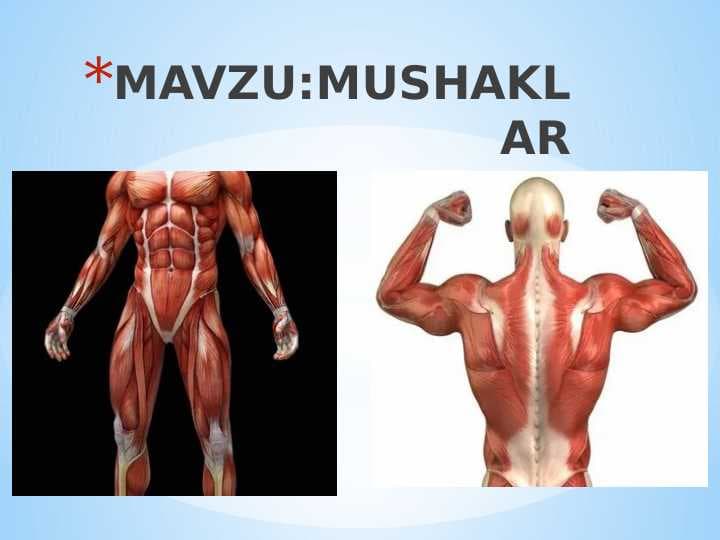 MUSHAKLAR