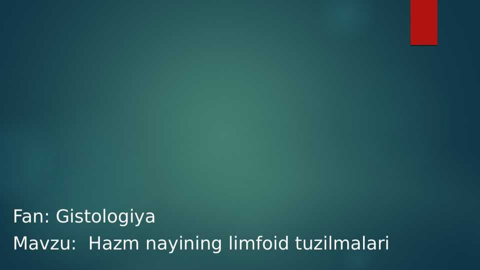 Hazm nayining limfoid tuzilmalari
