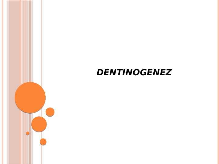 Dentinogenez