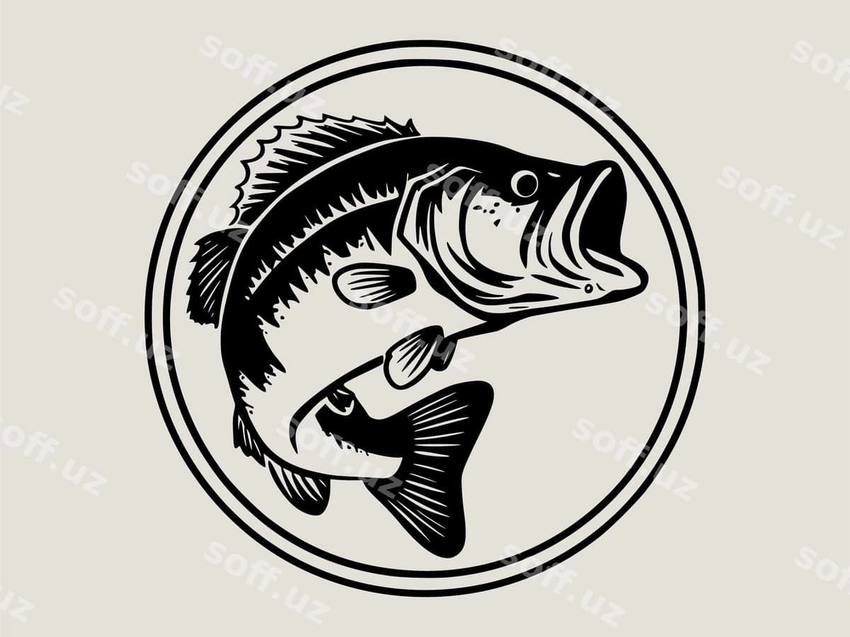 Baliq boshi baliq o'rtasi bilan | Fish head with fish middle