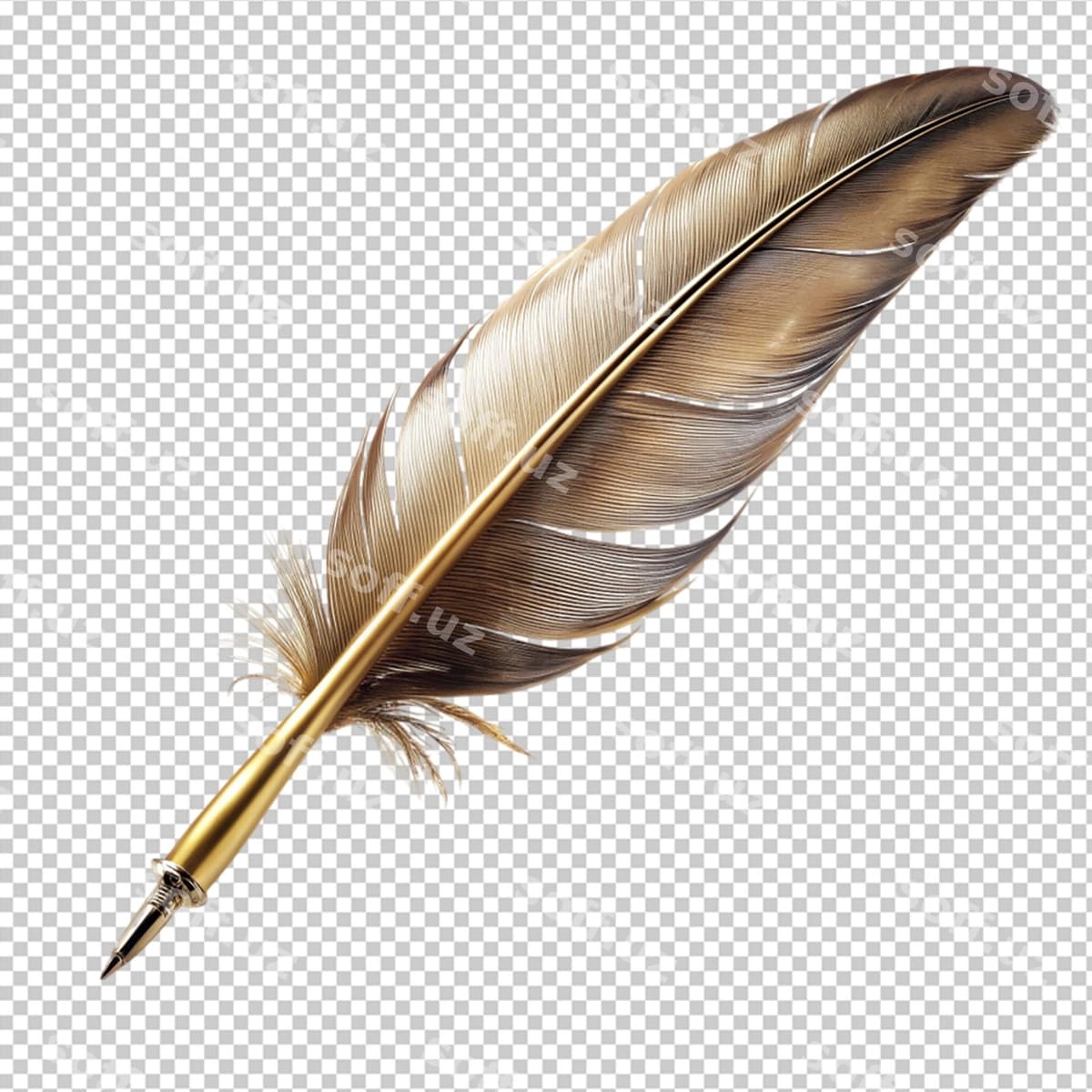 Shaffof orqa fondagi suzilgan tirjaxon qalam | Floated quill pen transparent background