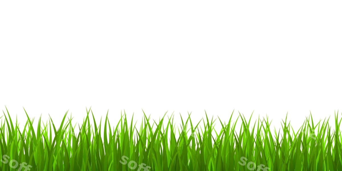 Yangi yashil chaman chegara | Fresh green grass border