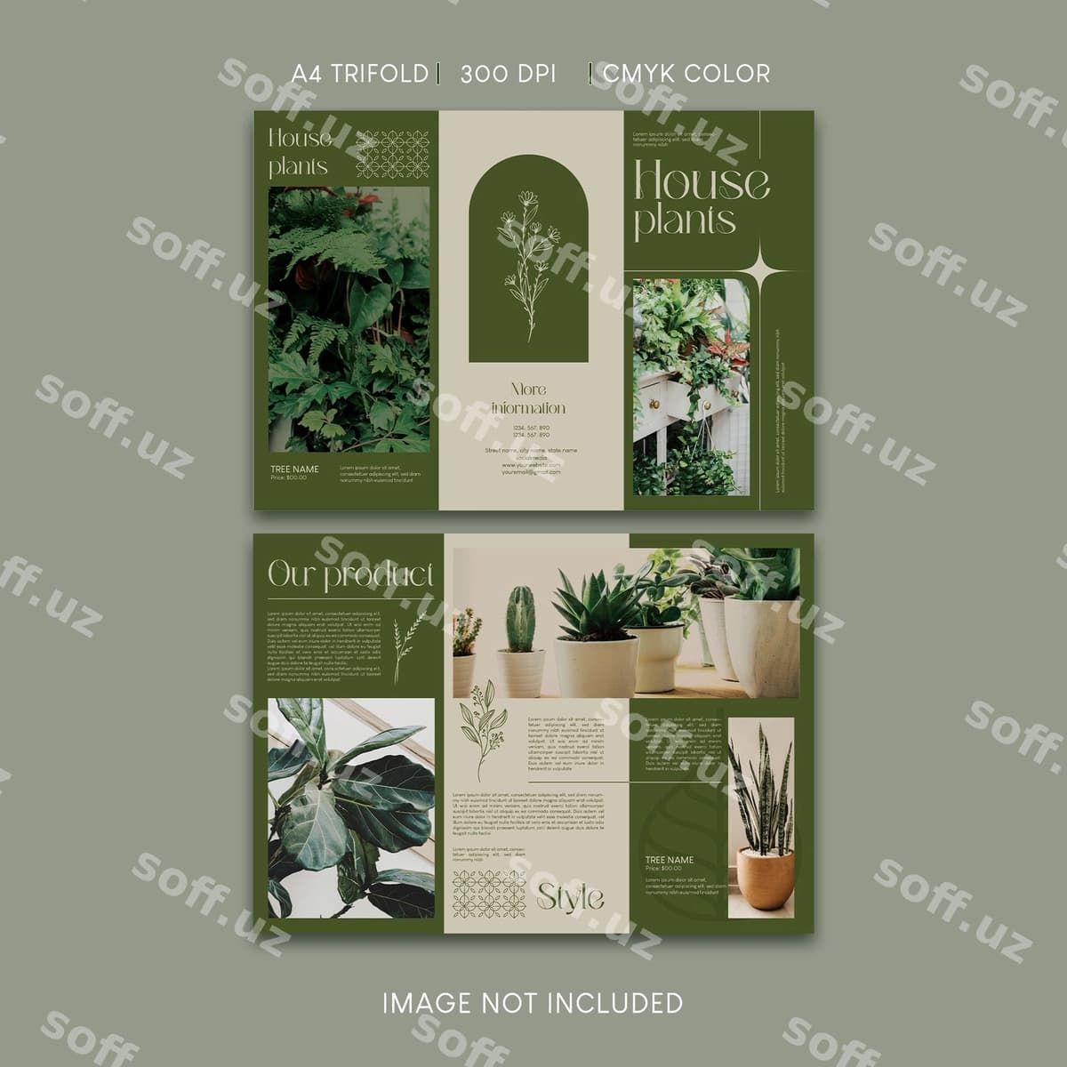 Uy shohar ekintlari do'koni uchun uch qirra broshyurasi | House plant shop trifold brochure