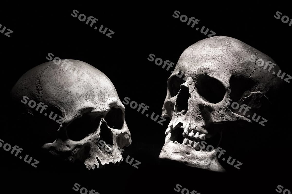 Inson bosh suvlari qora fon | Human skulls black background