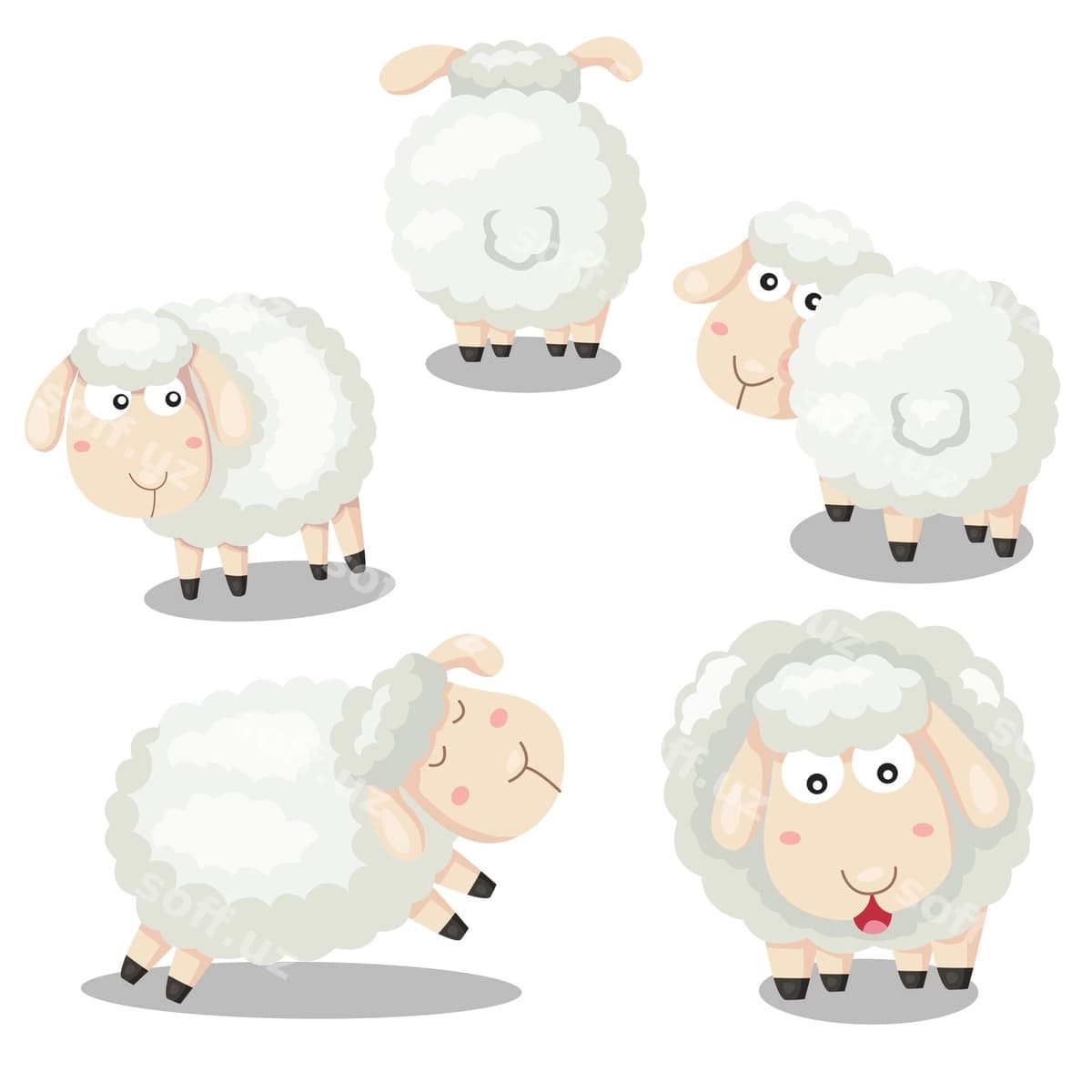 Illustrator qoy gulbishik multfil'm | Illustrator sheep funny cartoon